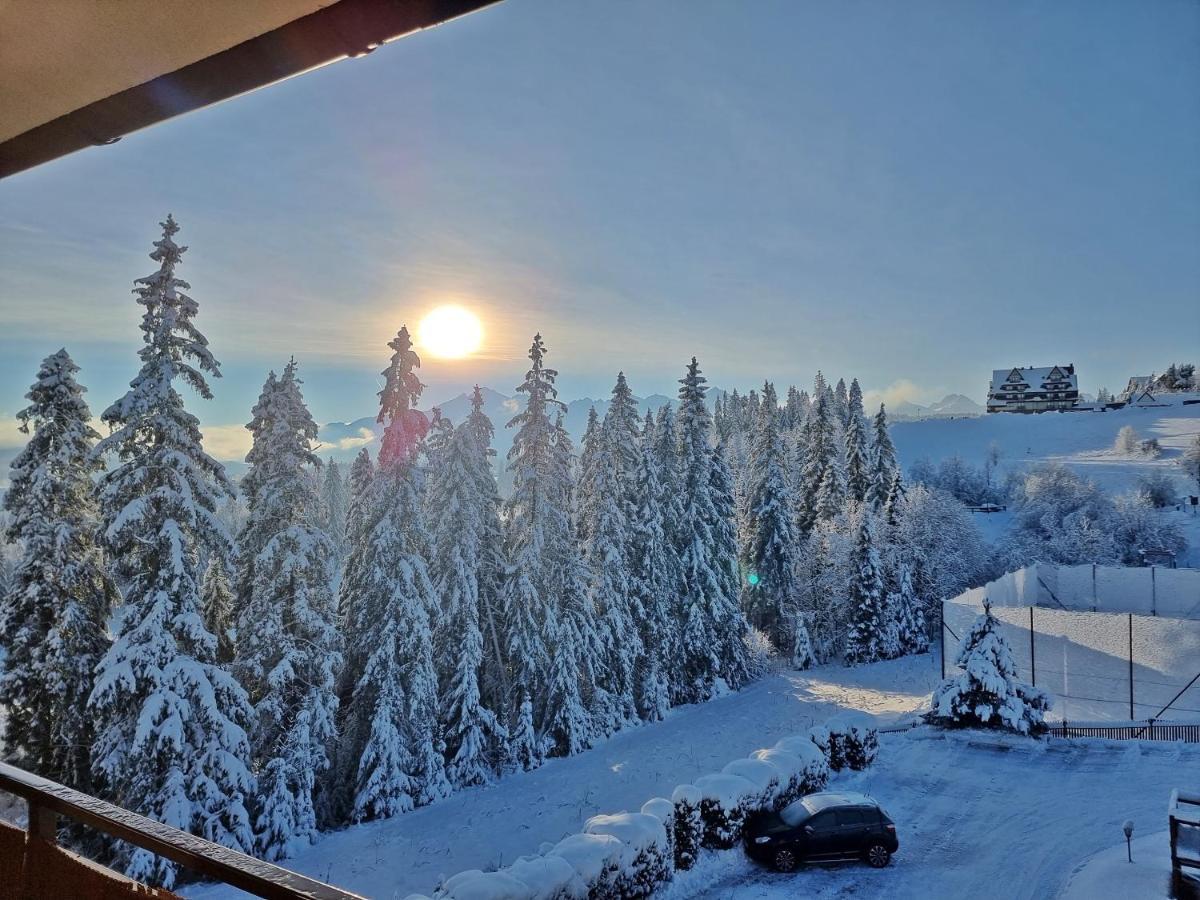 Villa Bukovinka: Forest Retreat with Ski Lifts and Thermal Baths Bukowina Tatrzanska Exterior photo