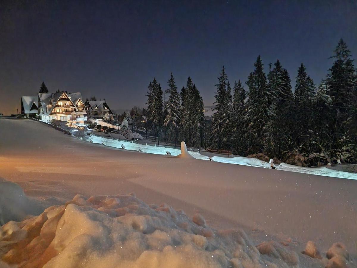 Villa Bukovinka: Forest Retreat with Ski Lifts and Thermal Baths Bukowina Tatrzanska Exterior photo