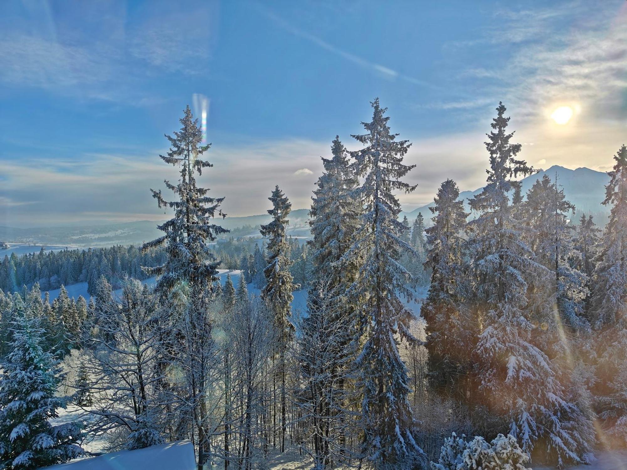 Villa Bukovinka: Forest Retreat with Ski Lifts and Thermal Baths Bukowina Tatrzanska Exterior photo